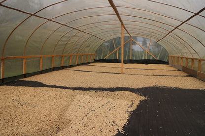 Schoenkaffee - Kolumbien - El Bombo Women BIO / Filterkaffee